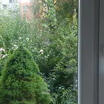 Sofia Краков